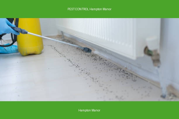 PEST CONTROL Hampton Manor
